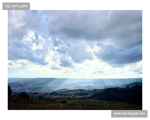 玻利维亚拉巴斯启动草皮基因改造试验提升主场球场质量 玻利维亚拉巴斯启动草皮基因改造试验提升主场球场质量